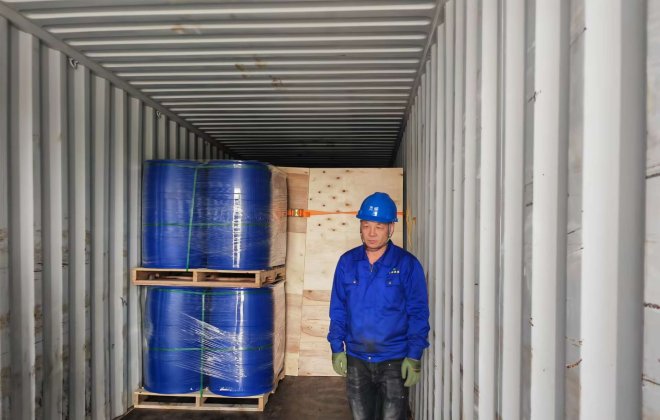 Kenko Qingdao Export Supervision